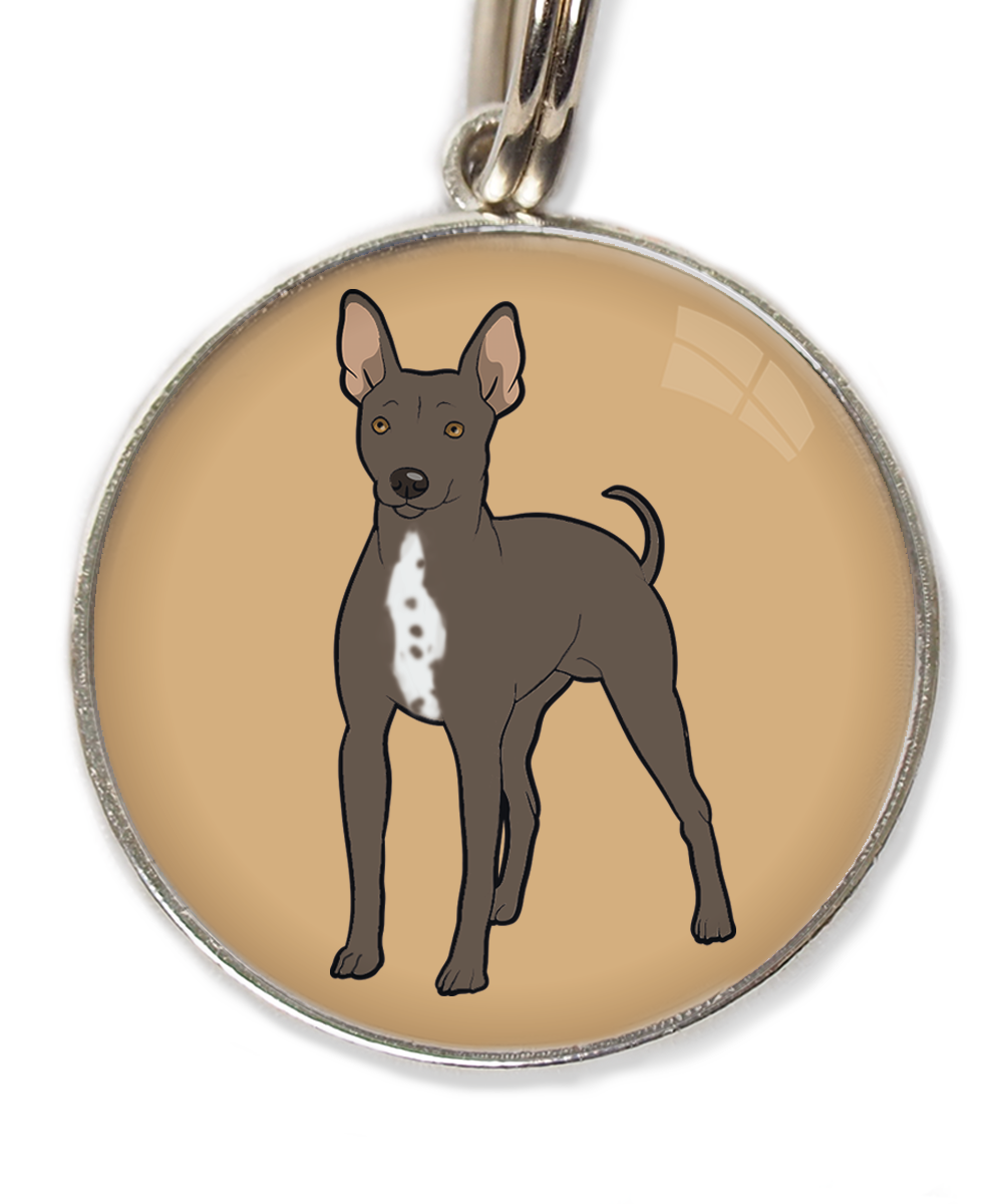 hairless-terrier-witte-borst-huisdierpenning-beige