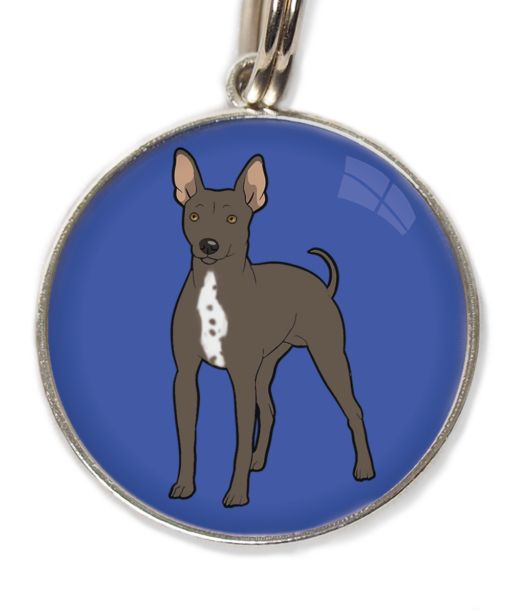 hairless-terrier-witte-borst-huisdierpenning-blauw