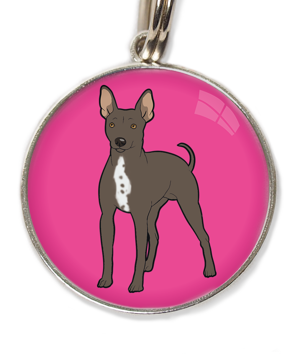 hairless-terrier-witte-borst-huisdierpenning-fushia