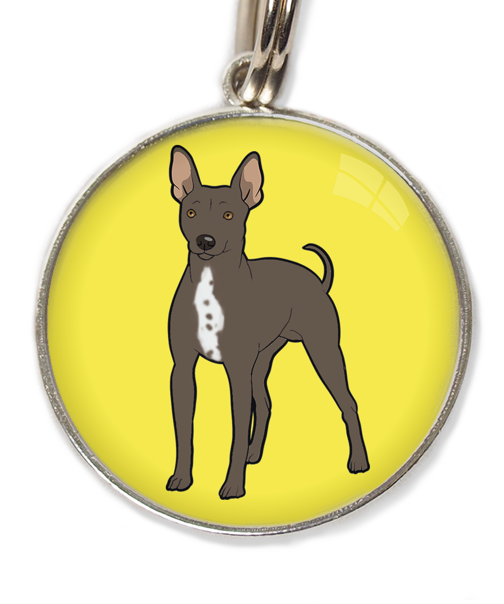 hairless-terrier-witte-borst-huisdierpenning-geel