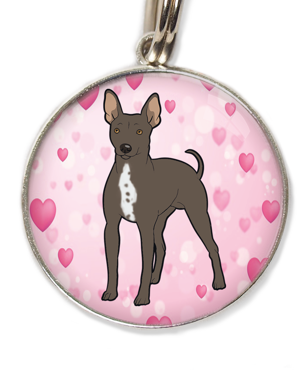 hairless-terrier-witte-borst-huisdierpenning-hartjes