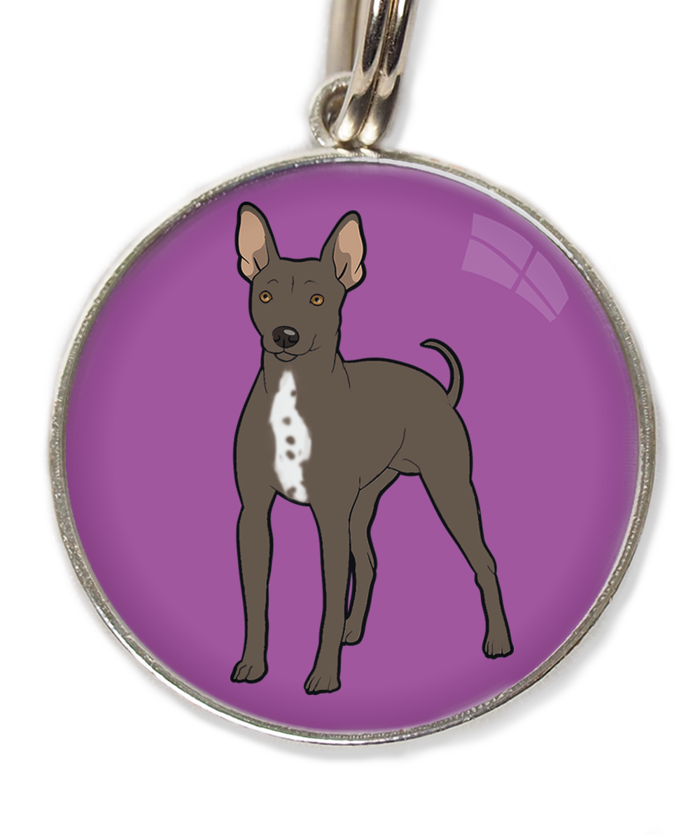 hairless-terrier-witte-borst-huisdierpenning-lilla