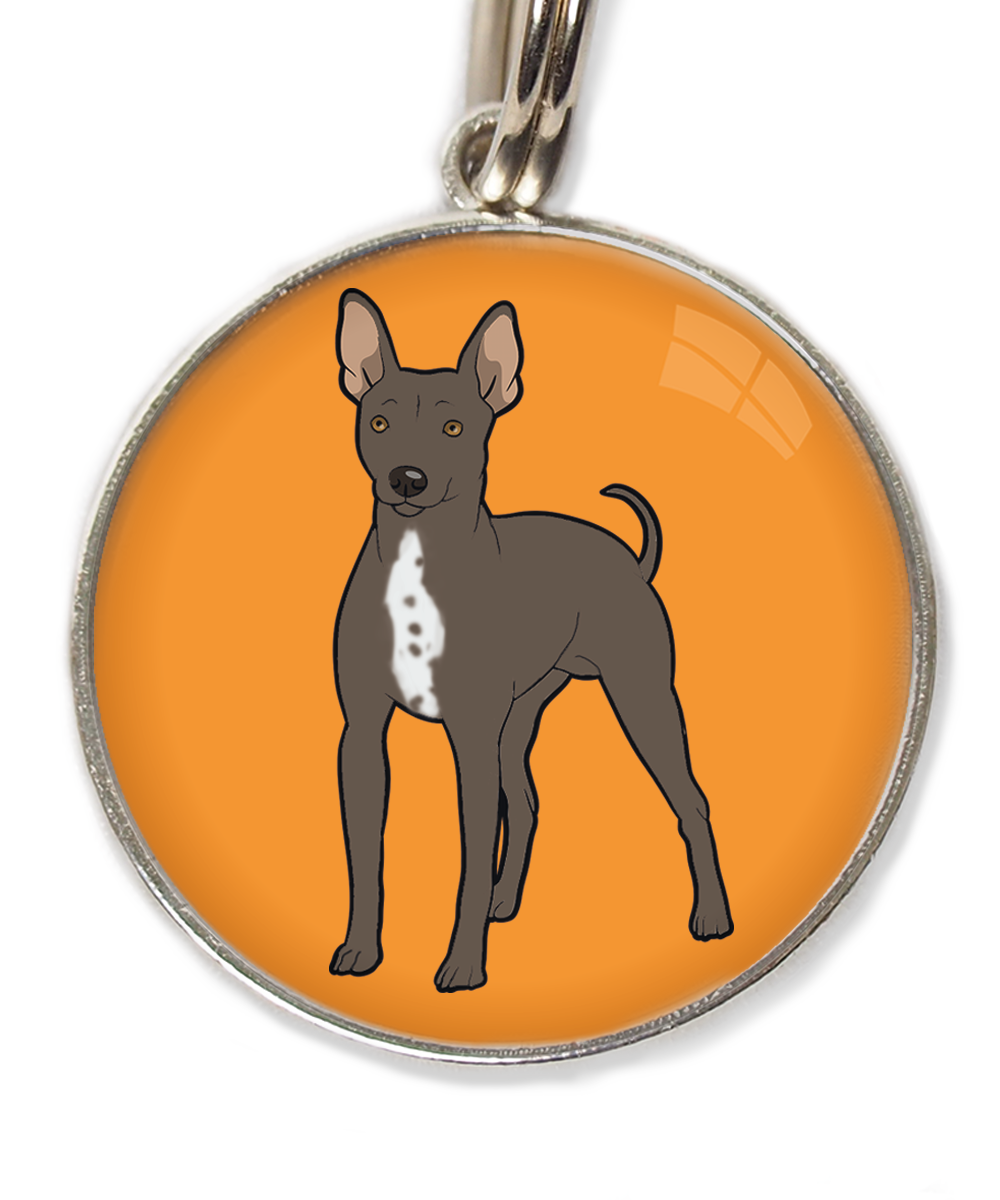 hairless-terrier-witte-borst-huisdierpenning-oranje