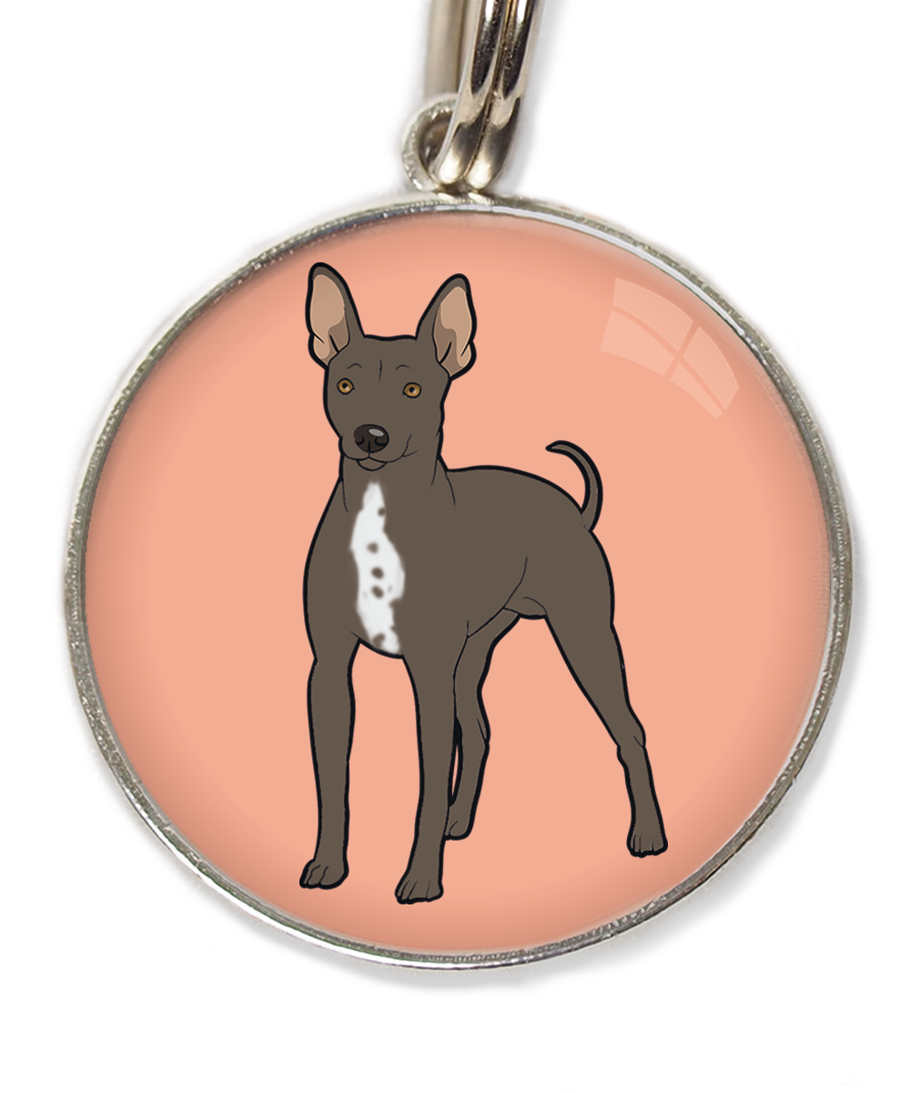 hairless-terrier-witte-borst-huisdierpenning-peach