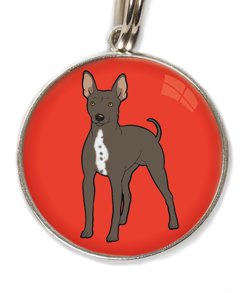 hairless-terrier-witte-borst-huisdierpenning-rood