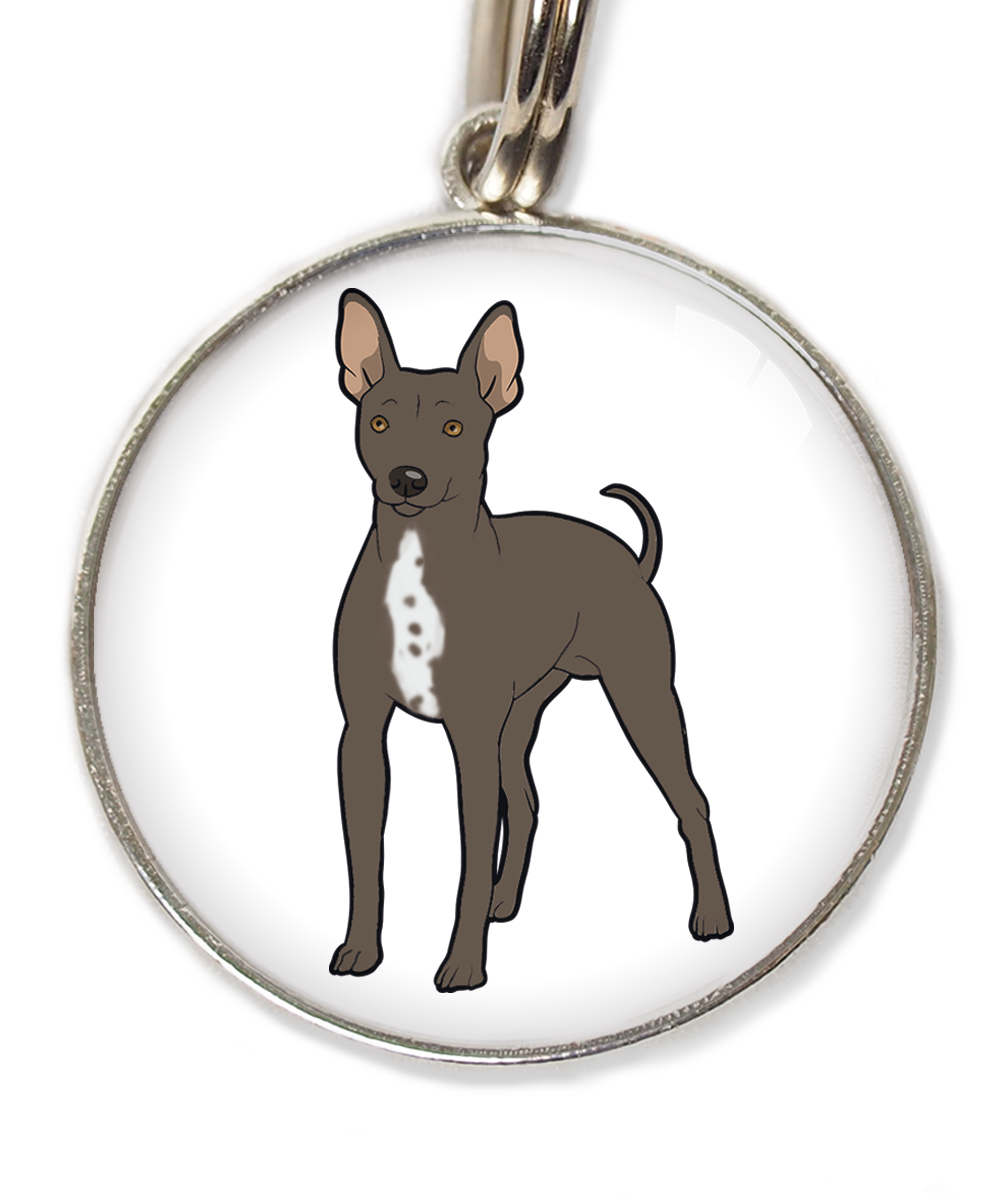 hairless-terrier-witte-borst-huisdierpenning-wit