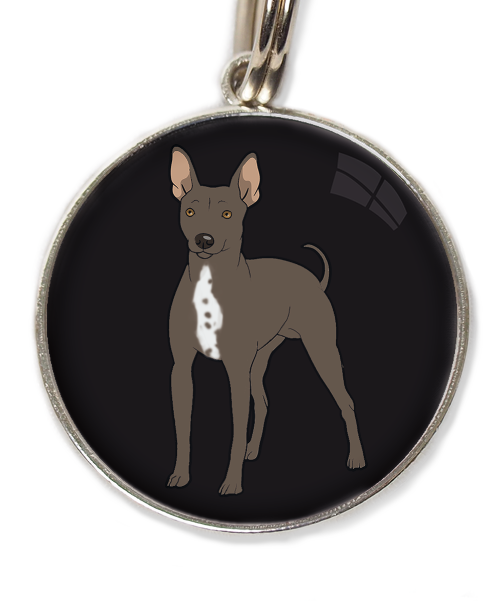 hairless-terrier-witte-borst-huisdierpenning-zwart