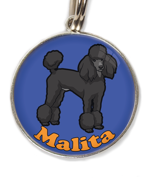 konings-poedel-met-naam-los-huisdierpenning-blauw