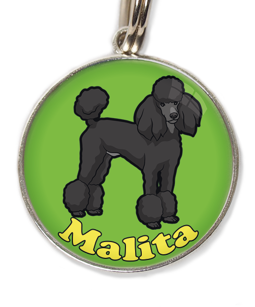 konings-poedel-met-naam-los-huisdierpenning-groen