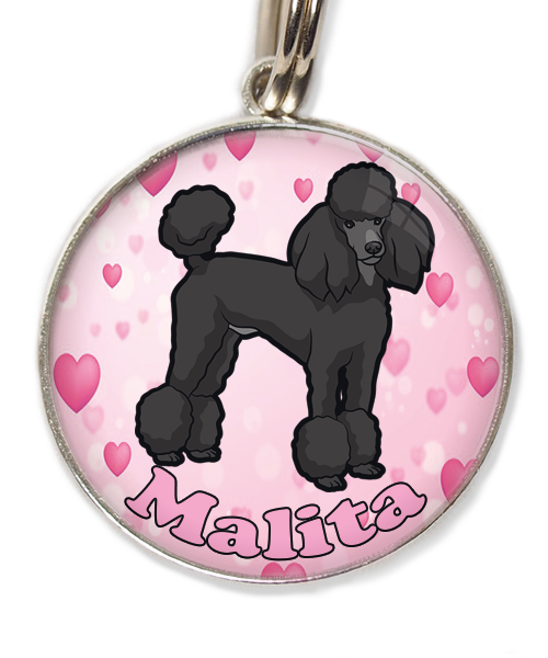 konings-poedel-met-naam-los-huisdierpenning-hartjes