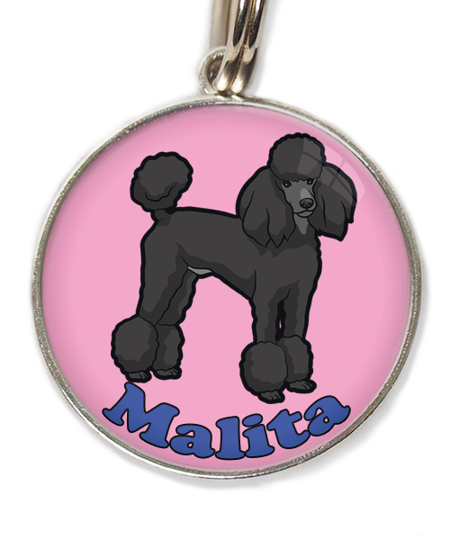 konings-poedel-met-naam-los-huisdierpenning-lichtroos