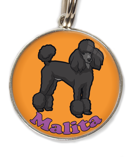 konings-poedel-met-naam-los-huisdierpenning-oranje