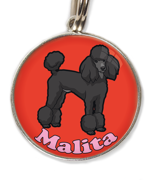 konings-poedel-met-naam-los-huisdierpenning-rood