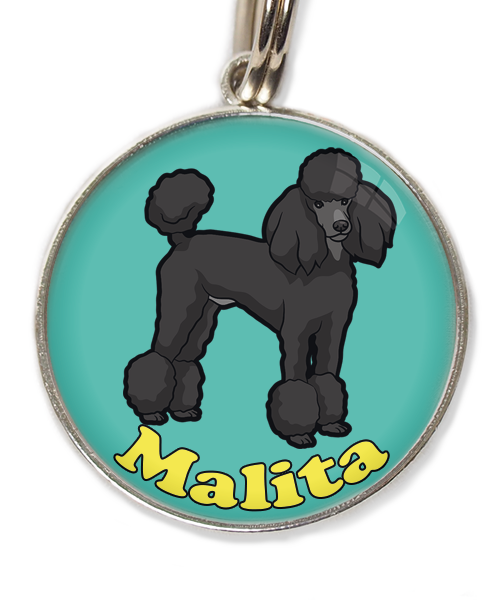 konings-poedel-met-naam-los-huisdierpenning-turquoise