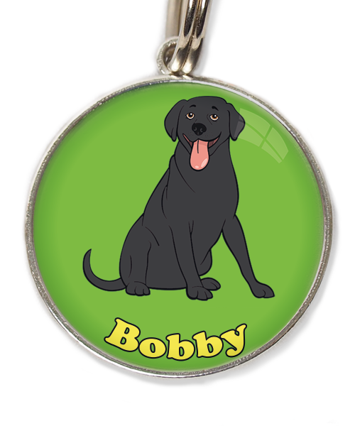 labrador-zwart-met-naam-los-huisdierpenning-groen