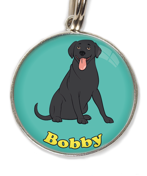 labrador-zwart-met-naam-los-huisdierpenning-turquoise