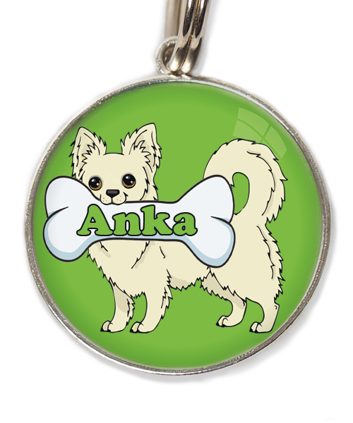 langharige-chihuahua-huisdierpenning-groen-1