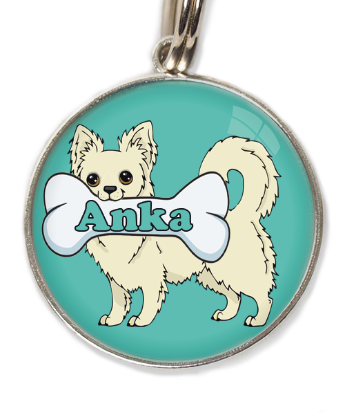 langharige-chihuahua-huisdierpenning-turquoise-1