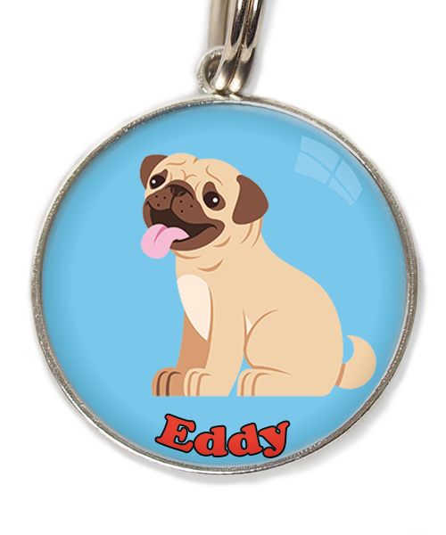 mopshond4-met-naam-los-huisdierpenning-lichtblauw
