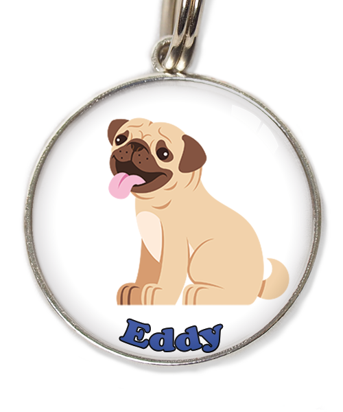 mopshond4-met-naam-los-huisdierpenning-wit