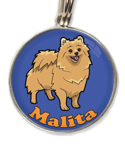 pomerian-met-naam-los-huisdierpenning-blauw