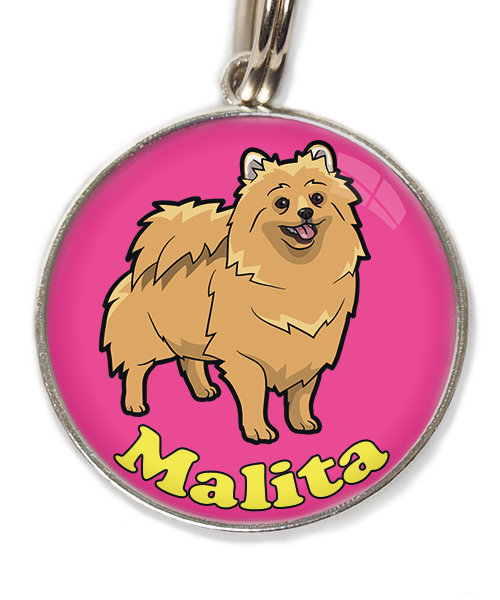 pomerian-met-naam-los-huisdierpenning-fushia