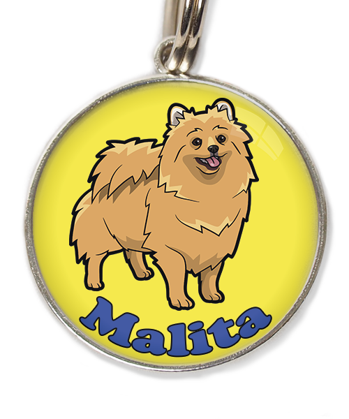 pomerian-met-naam-los-huisdierpenning-geel