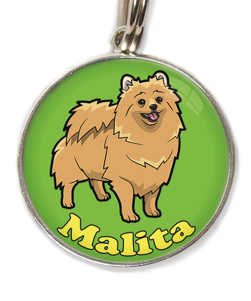 pomerian-met-naam-los-huisdierpenning-groen