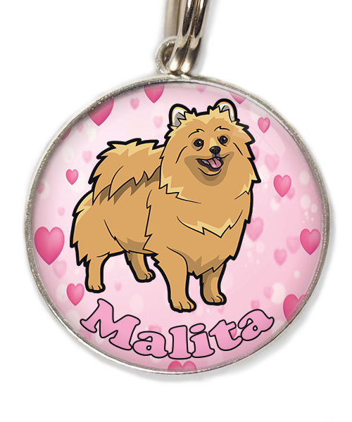 pomerian-met-naam-los-huisdierpenning-hartjes