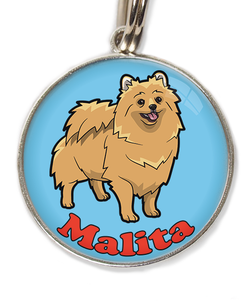 pomerian-met-naam-los-huisdierpenning-lichtblauw