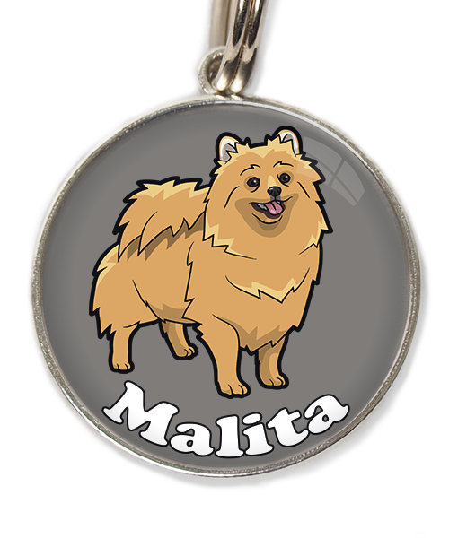 pomerian-met-naam-los-huisdierpenning-lichtgrijs