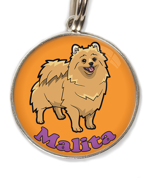 pomerian-met-naam-los-huisdierpenning-oranje