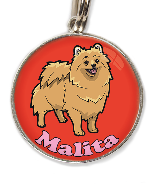 pomerian-met-naam-los-huisdierpenning-rood