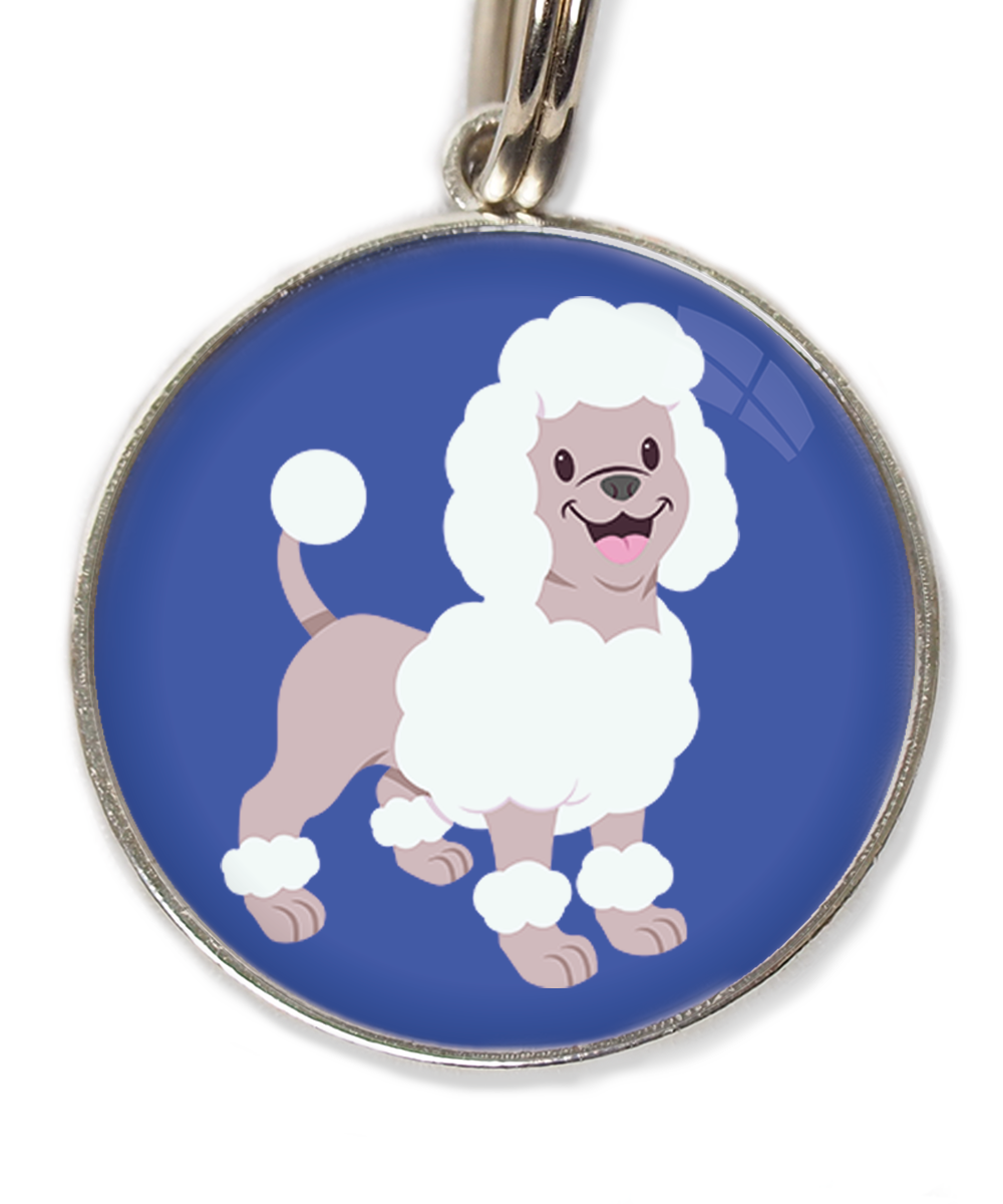 poodle-wit-huisdierpenning-blauw