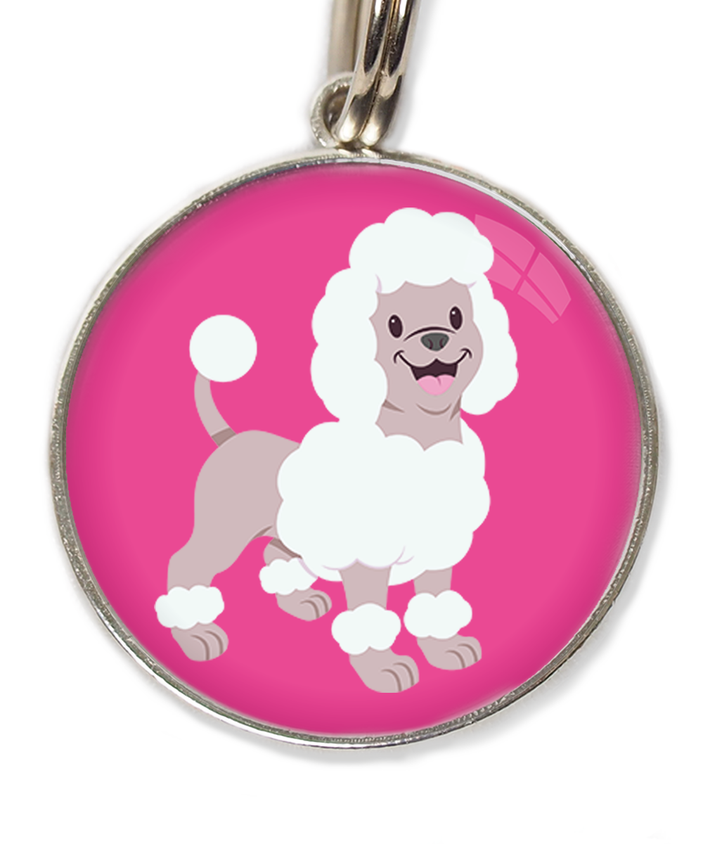 poodle-wit-huisdierpenning-fushia