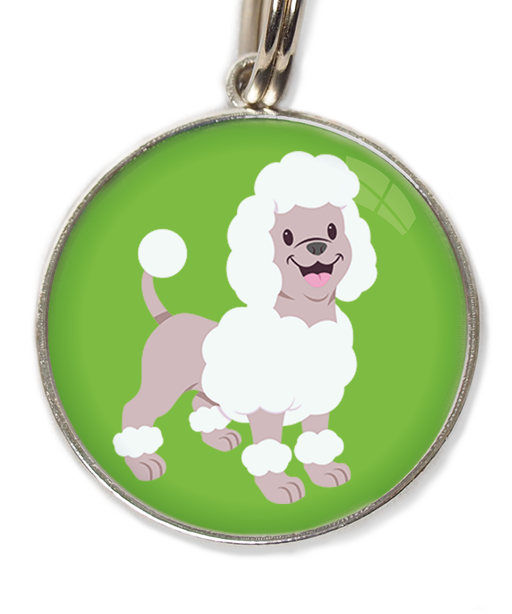 poodle-wit-huisdierpenning-groen