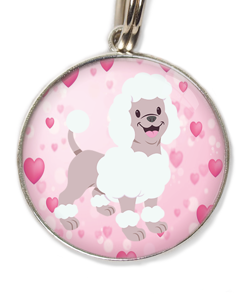 poodle-wit-huisdierpenning-hartjes