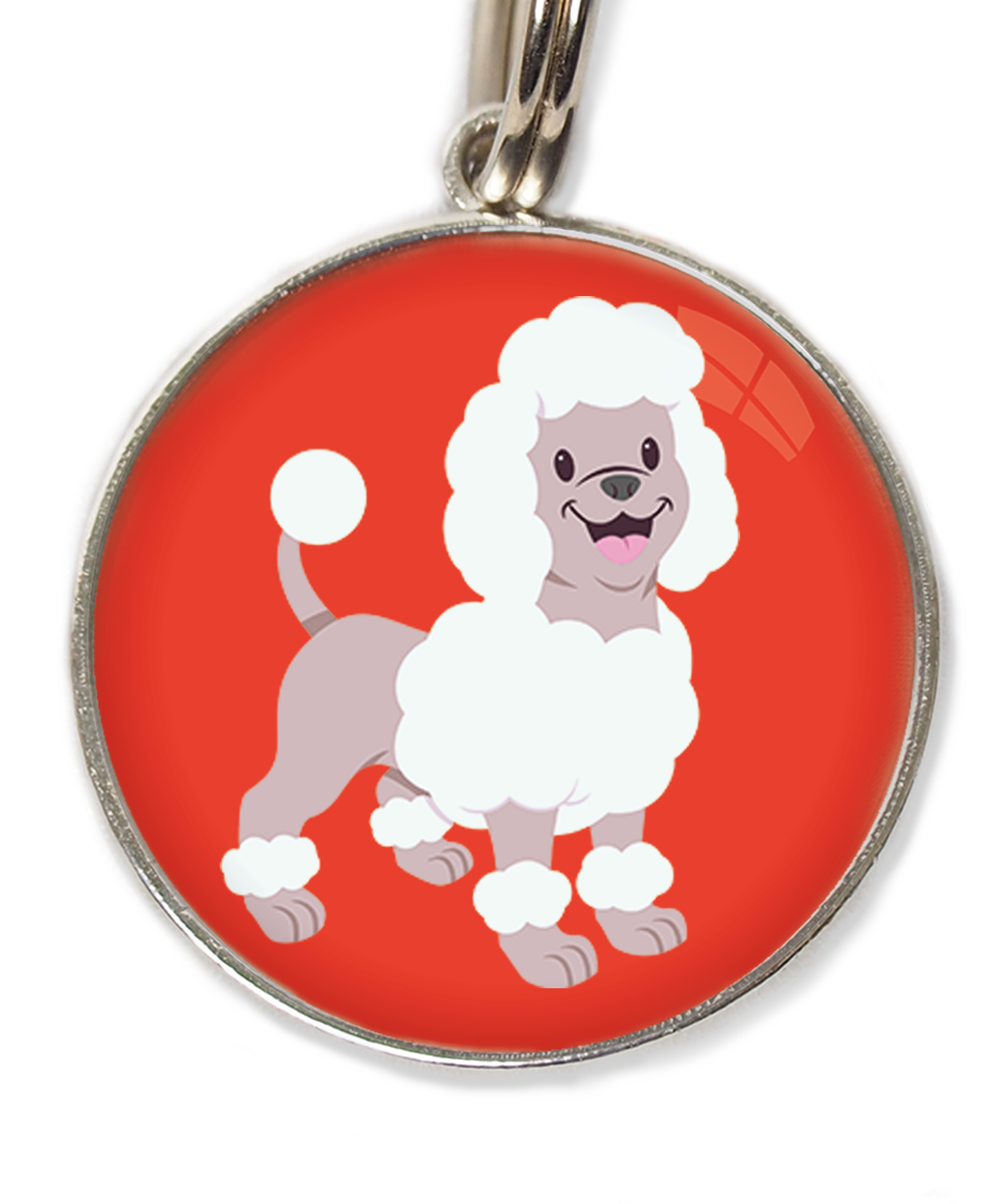 poodle-wit-huisdierpenning-rood