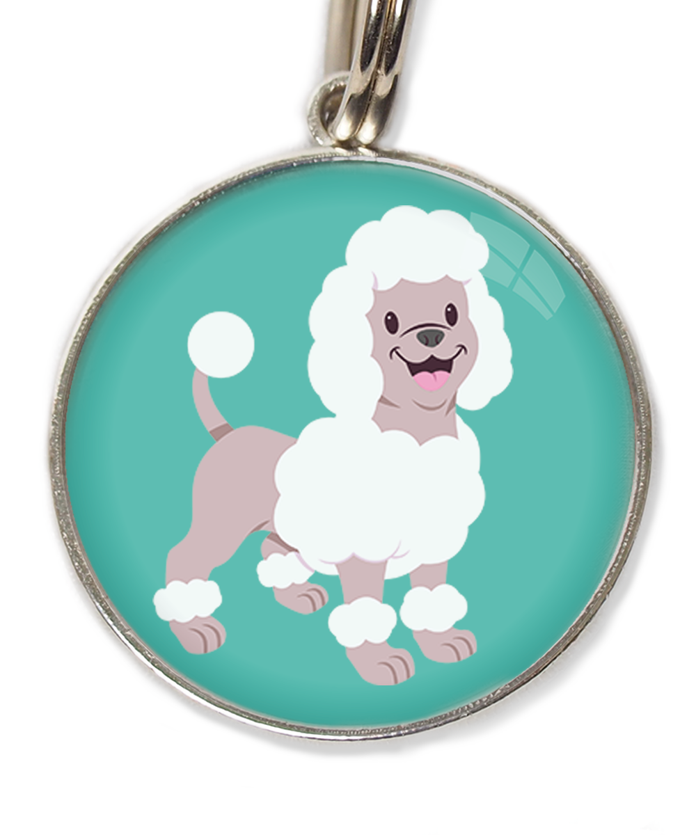 poodle-wit-huisdierpenning-turquoise