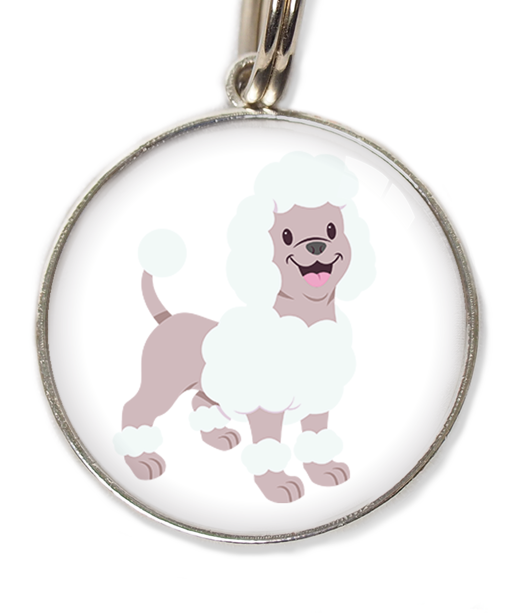 poodle-wit-huisdierpenning-wit