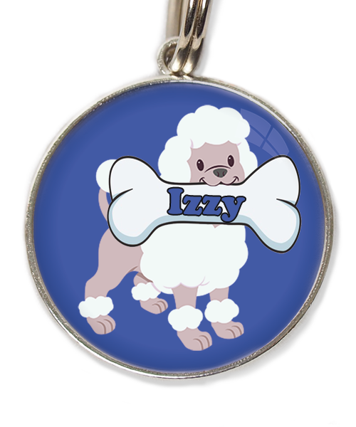 poodle-wit-met-naam-been-huisdierpenning-blauw