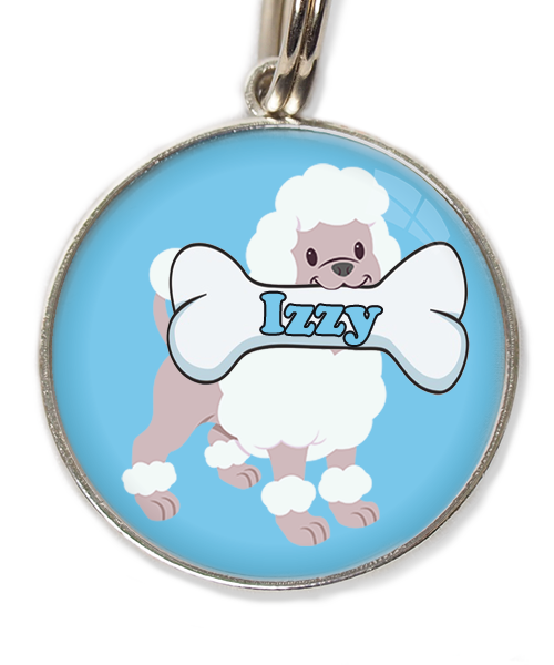 poodle-wit-met-naam-been-huisdierpenning-lichtblauw