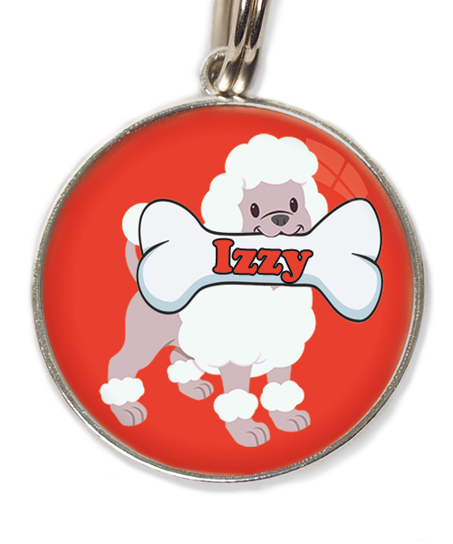 poodle-wit-met-naam-been-huisdierpenning-rood