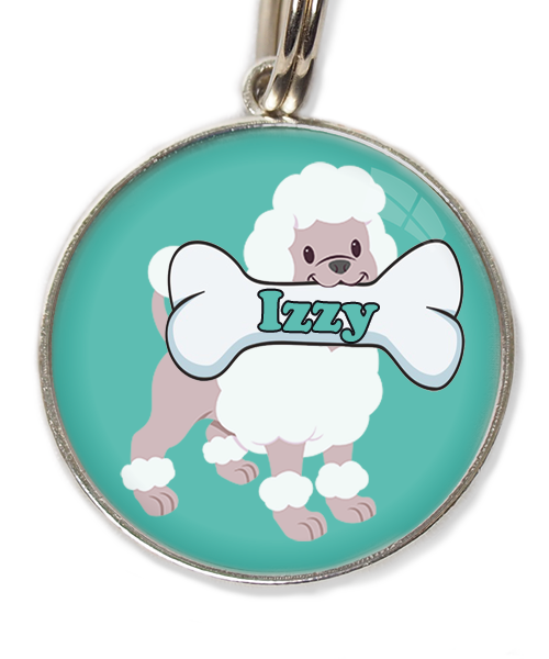 poodle-wit-met-naam-been-huisdierpenning-turquoise