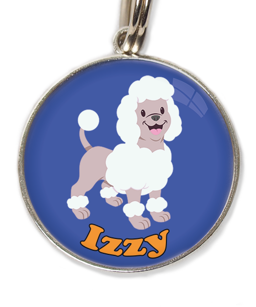 poodle-wit-met-naam-los-huisdierpenning-blauw