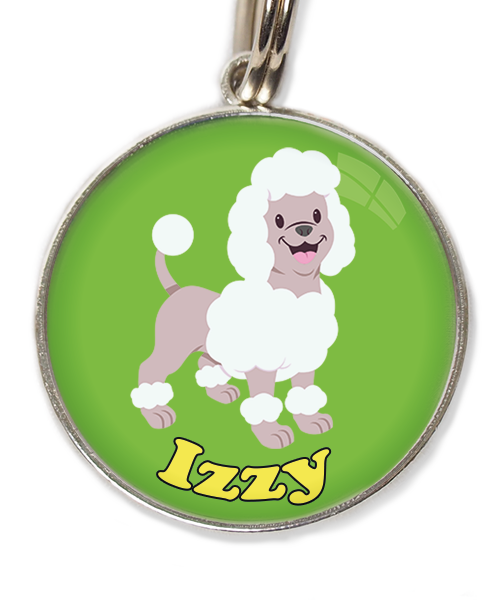 poodle-wit-met-naam-los-huisdierpenning-groen