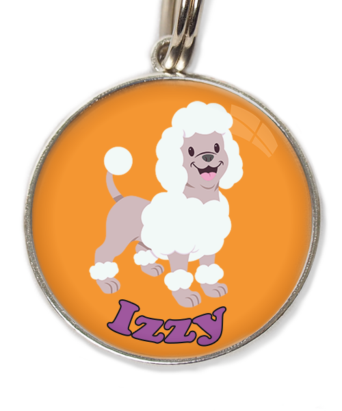 poodle-wit-met-naam-los-huisdierpenning-oranje