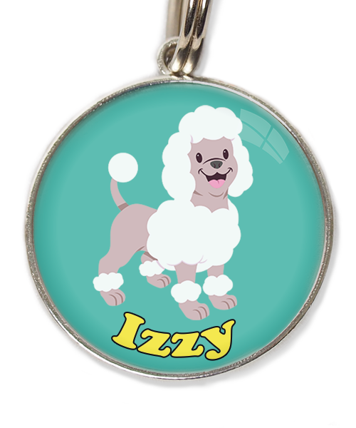 poodle-wit-met-naam-los-huisdierpenning-turquoise