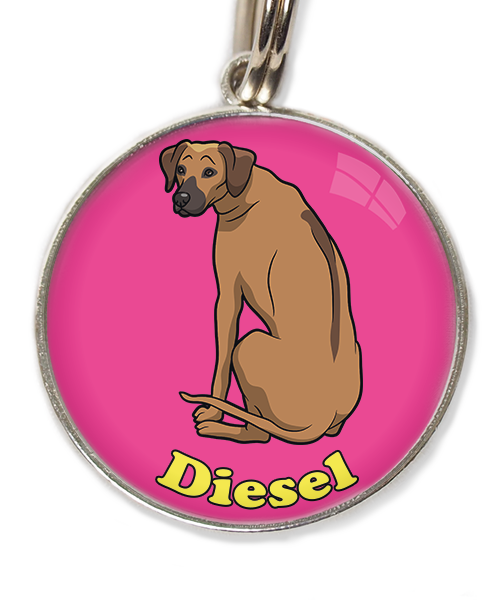 ridgeback-met-naam-los-huisdierpenning-fushia