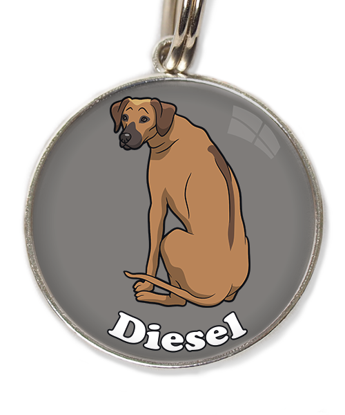 ridgeback-met-naam-los-huisdierpenning-lichtgrijs